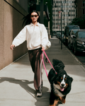 Restore Straight Leg Track Sweatpant | French Roast