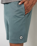 Endline Mesh Short | Kashmir