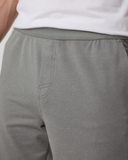 Coronado Short 8 | Dolomite Heather