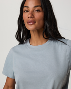 Short Sleeve Heavyweight Cotton Relaxed Tee | Raindrop
