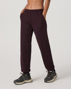 Halo Modern Sweatpant | Raisin